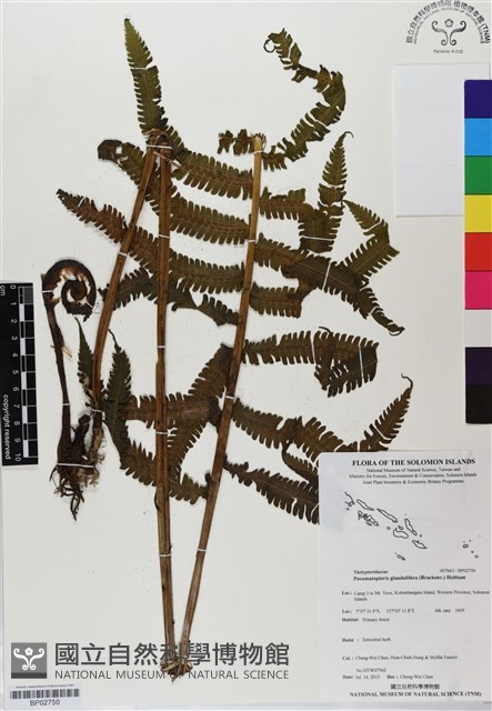 登錄號:BP02750藏品圖，第1張