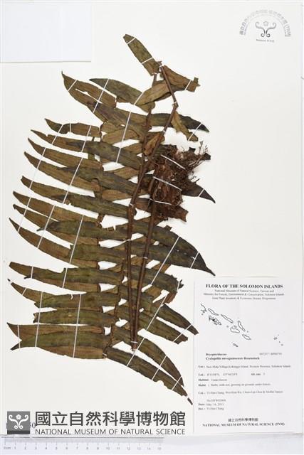 登錄號:BP00750藏品圖，第1張