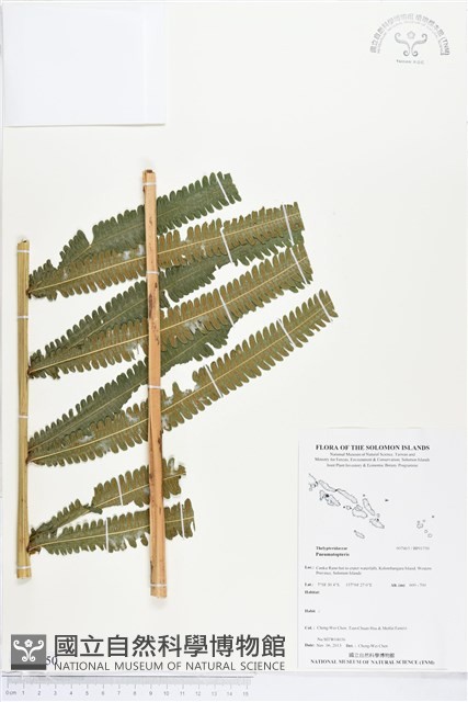 登錄號:BP01750藏品圖，第1張