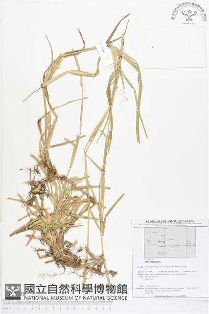 登錄號:BS01750藏品圖，第1張