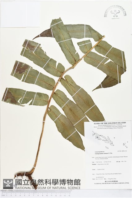 登錄號:BP01550藏品圖，第1張