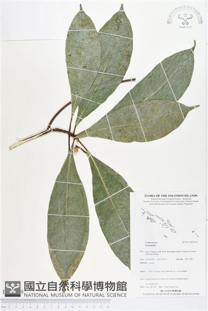 登錄號:BS03550藏品圖，第1張