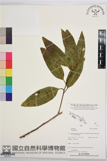 登錄號:BS07550藏品圖，第1張