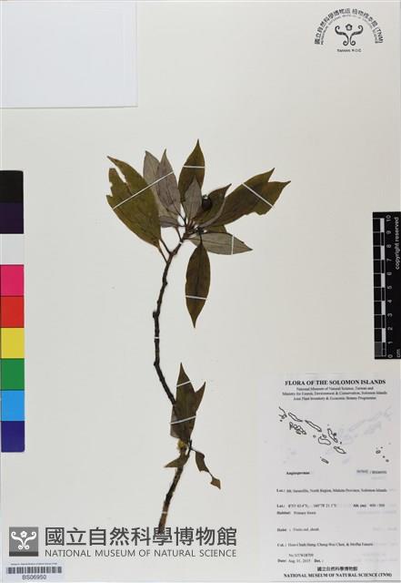 登錄號:BS06950藏品圖，第1張