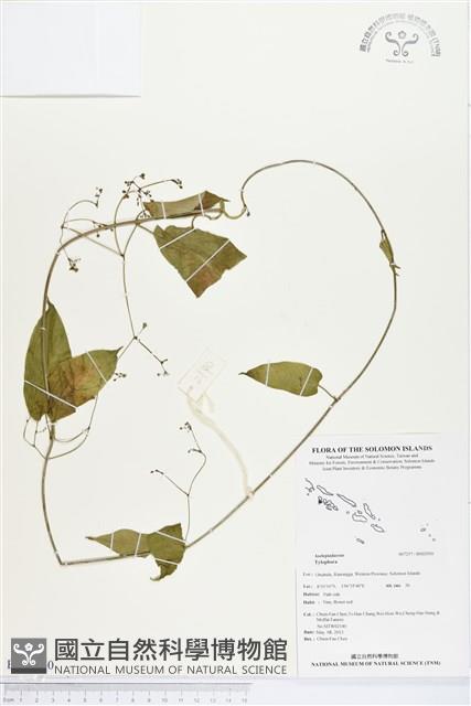 登錄號:BS02950藏品圖，第1張