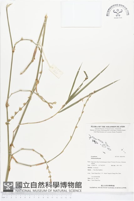 登錄號:BS01950藏品圖，第1張