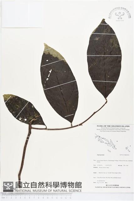 登錄號:BS04950藏品圖，第1張