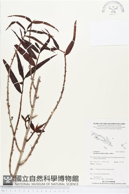 登錄號:BS04350藏品圖，第1張