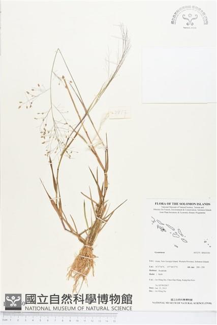 Accession Number:BS03350 Collection Image