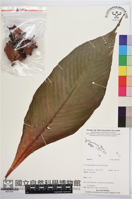 登錄號:BS07350藏品圖，第1張