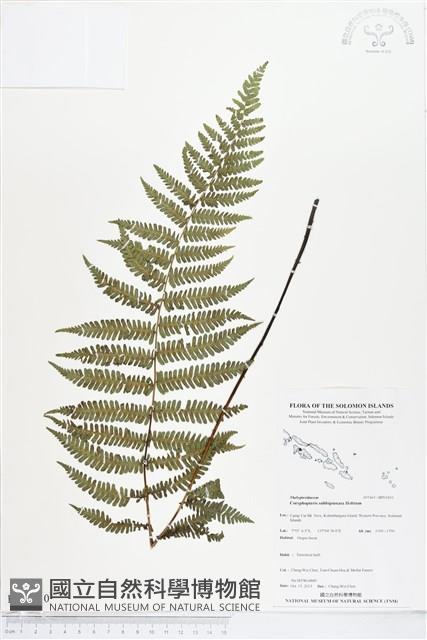 登錄號:BP01810藏品圖，第1張