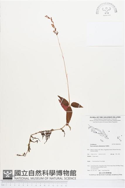 登錄號:BS03810藏品圖，第1張