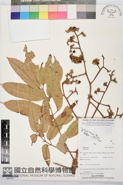 登錄號:BS07810藏品圖，第1張