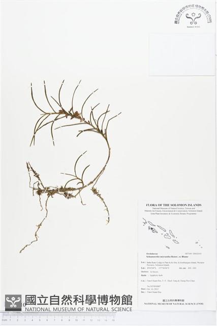 登錄號:BS02010藏品圖，第1張