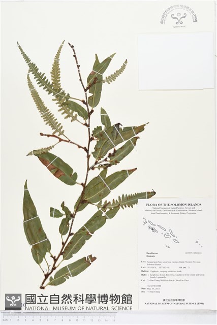 登錄號:BP00610藏品圖，第1張