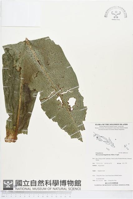 登錄號:BP01610藏品圖，第1張