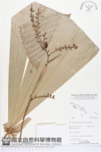 登錄號:BS03610藏品圖，第1張