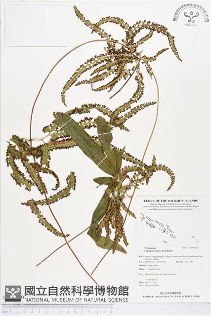登錄號:BP00110藏品圖，第1張
