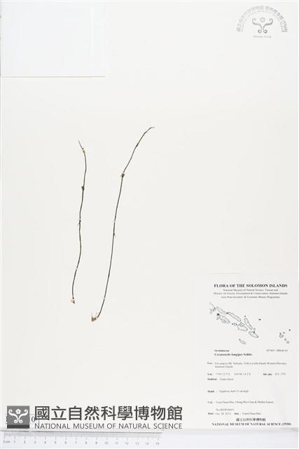 登錄號:BS04110藏品圖，第1張