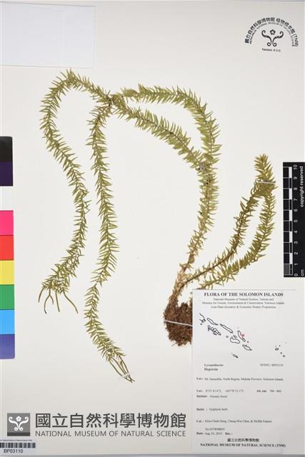 登錄號:BP03110藏品圖，第1張