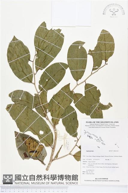 登錄號:BS03110藏品圖，第1張