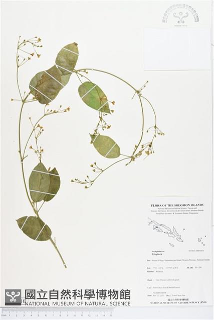 登錄號:BS04410藏品圖，第1張