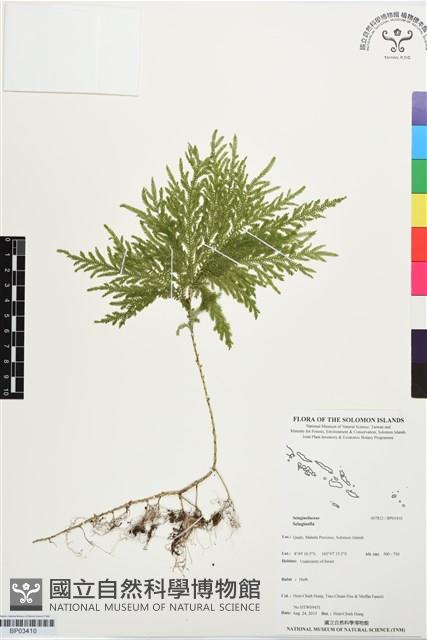 登錄號:BP03410藏品圖，第1張