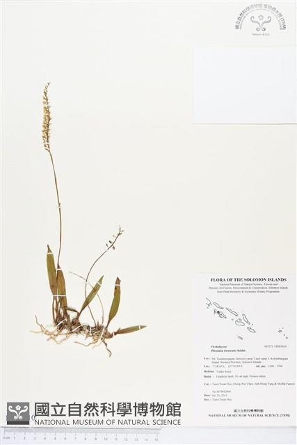 登錄號:BS03410藏品圖，第1張