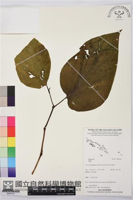 登錄號:BS07410藏品圖，第1張