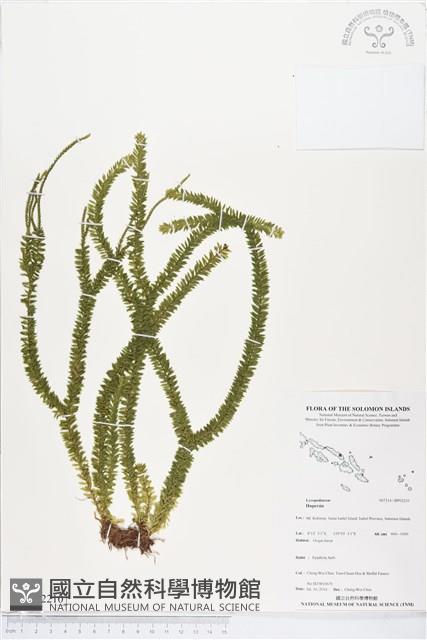 Accession Number:BP02210 Collection Image