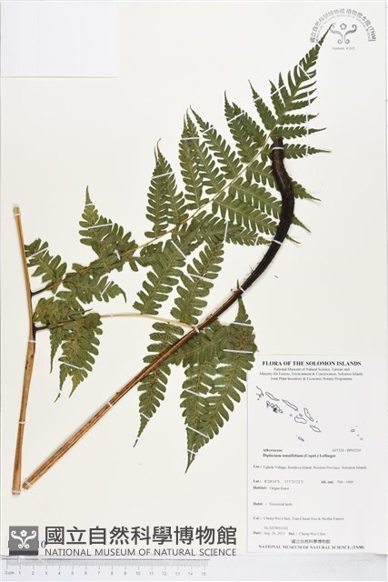 登錄號:BP01210藏品圖，第1張