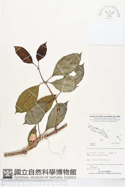 登錄號:BS05210藏品圖，第1張