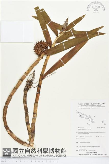 登錄號:BS04210藏品圖，第1張