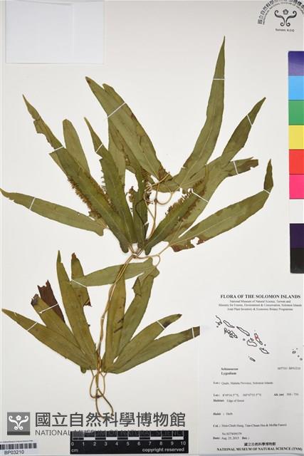 登錄號:BP03210藏品圖，第1張