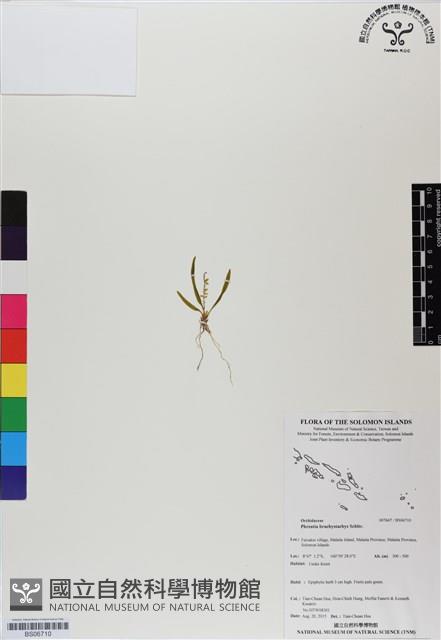 登錄號:BS06710藏品圖，第1張
