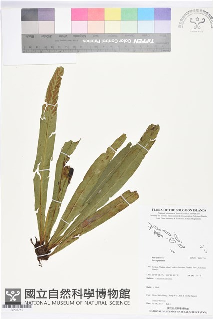 登錄號:BP02710藏品圖，第1張
