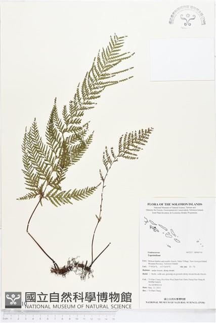 登錄號:BP00710藏品圖，第1張