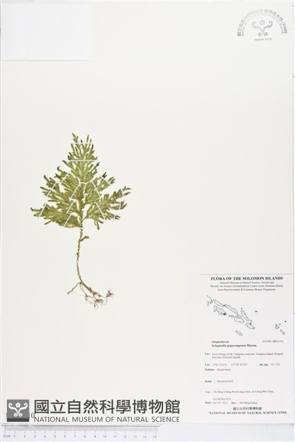 登錄號:BP01710藏品圖，第1張