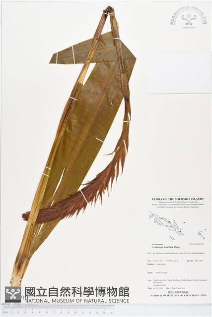 登錄號:BS04710藏品圖，第1張