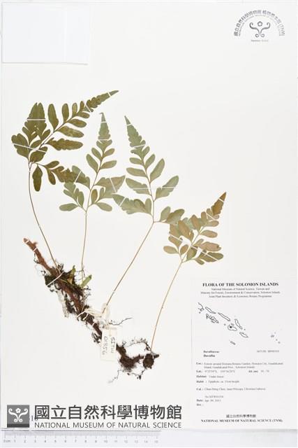 登錄號:BP00510藏品圖，第1張