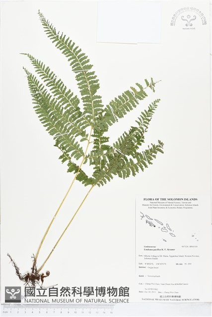 登錄號:BP01510藏品圖，第1張