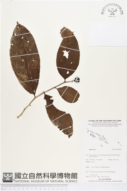 登錄號:BS03510藏品圖，第1張