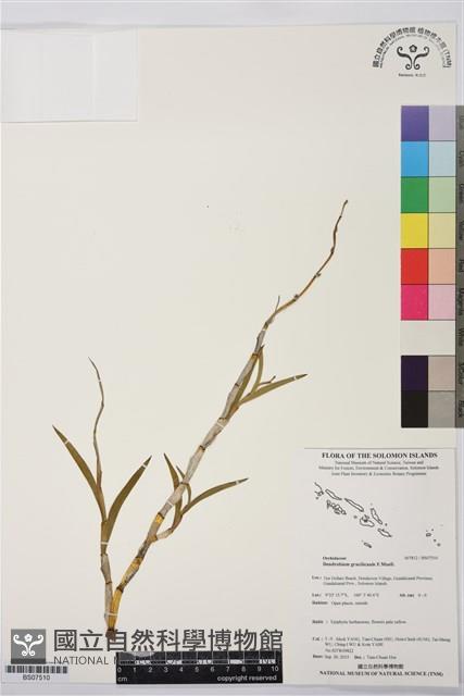 登錄號:BS07510藏品圖，第1張