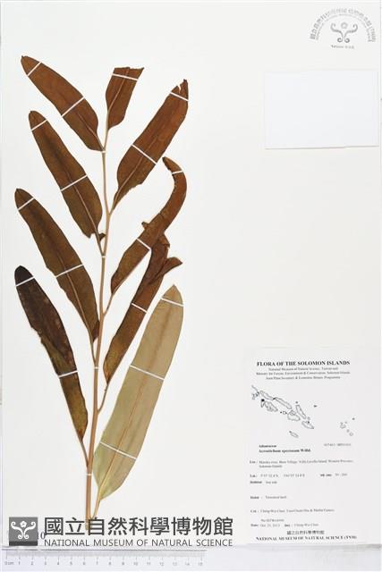 登錄號:BP01910藏品圖，第1張