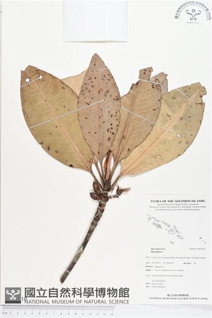 登錄號:BS01910藏品圖，第1張