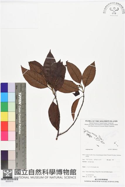 登錄號:BS05910藏品圖，第1張