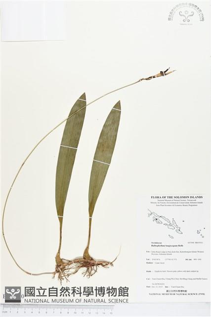 登錄號:BS03910藏品圖，第1張