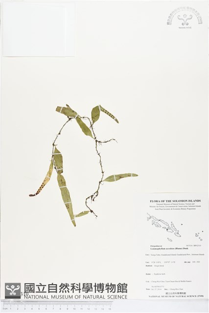 登錄號:BP02310藏品圖，第1張