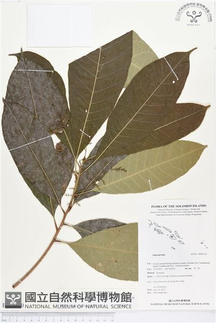 登錄號:BS01310藏品圖，第1張