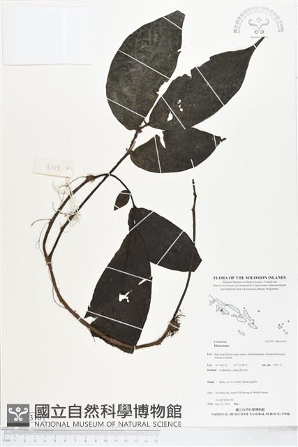 登錄號:BS05310藏品圖，第1張